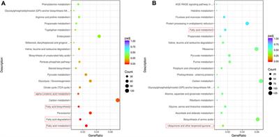 Integrative analysis of non-targeted metabolome and transcriptome reveals the mechanism of volatile formation in pepper fruit